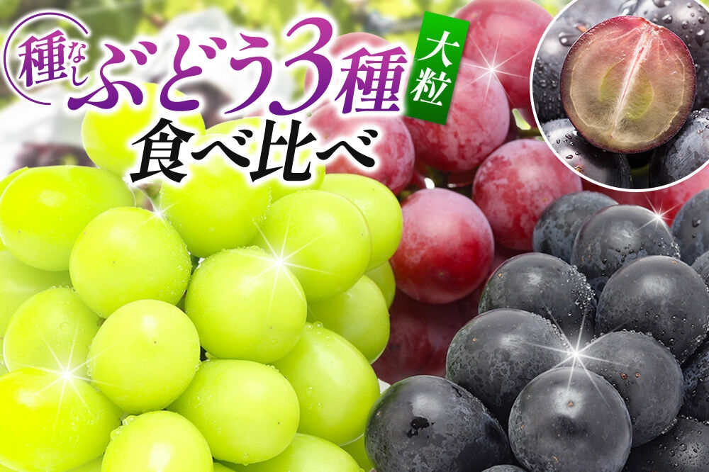 
                  【先行受付】9月中旬より発送 【ぶどう3種食べ比べ】濃甘な完熟葡萄 横手市大沢地区産 旬な種無し大粒品種ぶどう 3種類詰合せ  巨峰 ピオーネ シナノスマイル クィーンニーナ タマユタカ 翠峰 ぶどう ブトウ 種なし 詰め合わせ 食べ比べ フルーツ 果物 秋田 [先行予約 ぶどう ブドウ 葡萄 果物 フルーツ 横手産 秋田産 秋田県産]
                