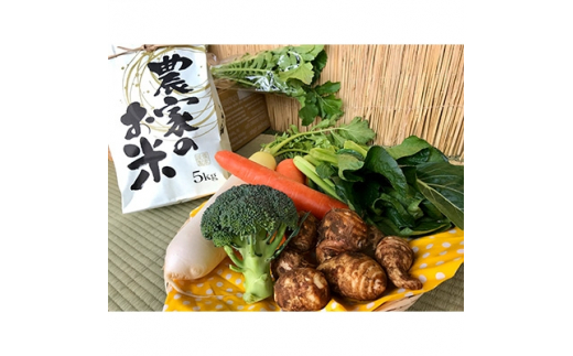 
＜白米5kg＞栽培期間農薬不使用『身体が喜ぶ野菜とお米』詰め合わせ(おまかせ)潮来はぐくみのもり【1068676】
