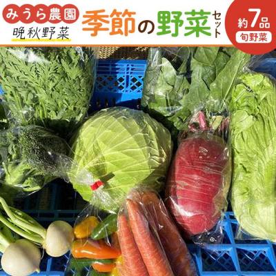 ふるさと納税 角田市 【2026年発送分先行予約】みうら農園 季節の野菜セット おまかせ7品(晩秋野菜)