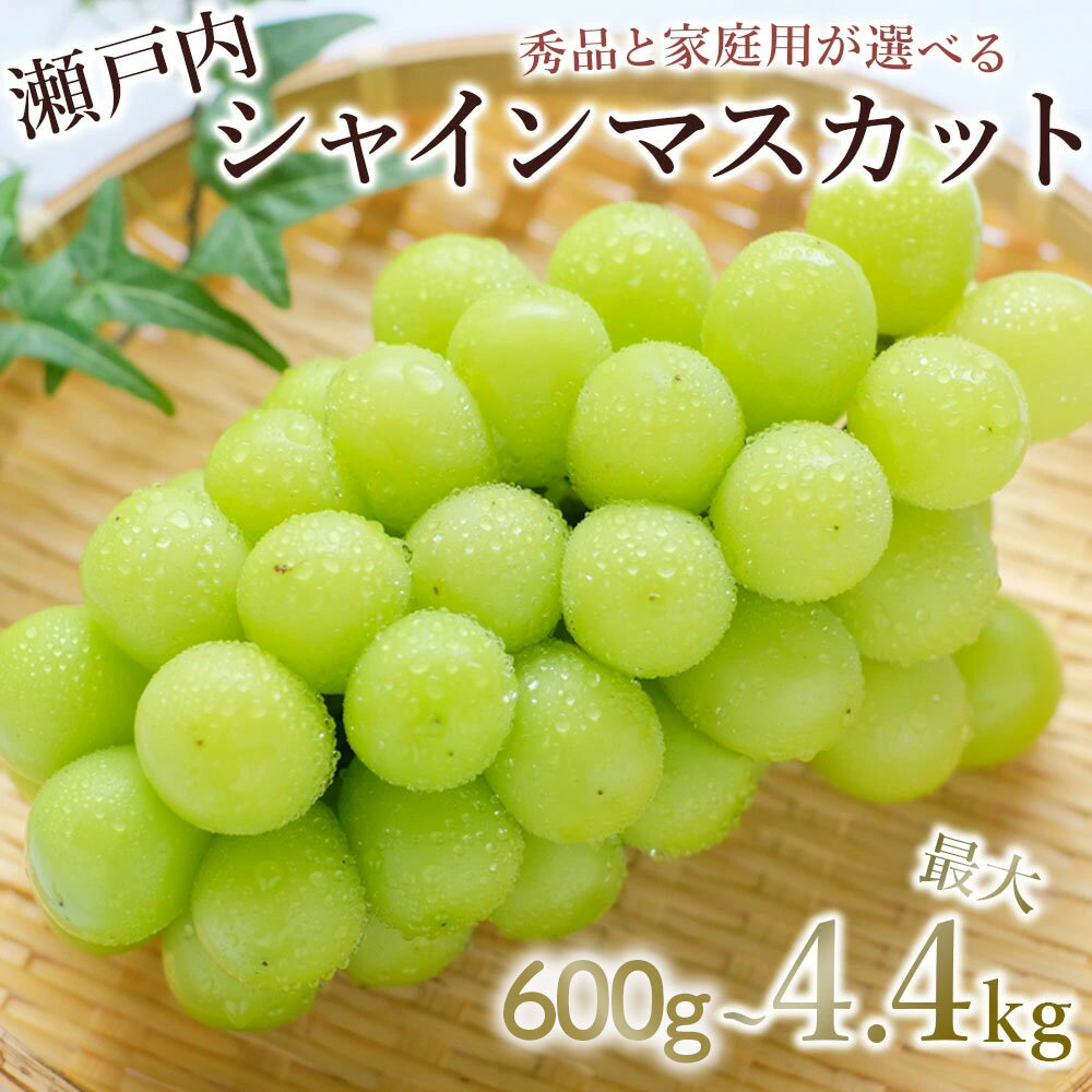【ふるさと納税】【配送不可地域：北海道・沖縄県・離島】期間限定 シャインマスカット 1房(約600g)〜最大9房(約4.4kg以上) フルーツ 果物 ぶどう マスカット 美味しい 旬 糖度 皮ごと 種なし 送料無料 食品 大粒 訳あり 贈答用 ギフト 〜