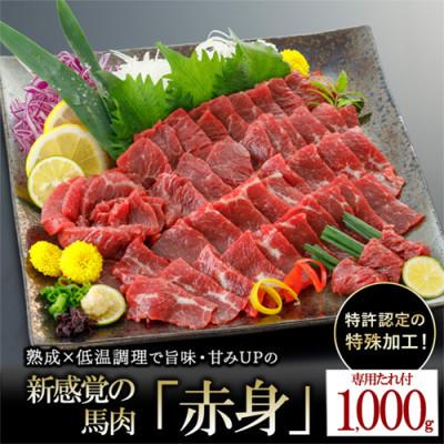 ふるさと納税 小国町 【毎月定期便】馬肉 赤身 約1000g 専用たれ付き(小国町)全2回