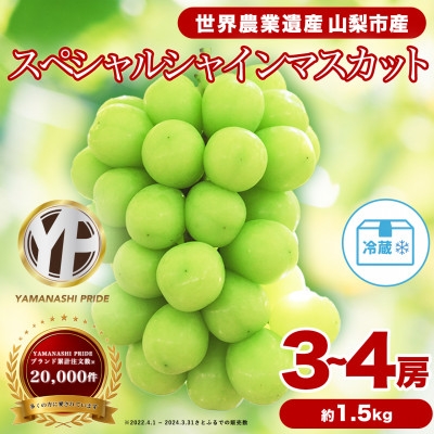 
                  2026年発送 フルーツ王国山梨産厳選 シャインマスカット 3～4房(約1.5kg)【1501767】
                