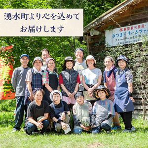 《先行予約受付中！2026年9月以降順次発送》《数量限定》冷凍ブルーベリー(計1kg・100g×10パック) 冷凍 無農薬 国産 九州産 鹿児島県産 くだもの 果物 フルーツ シャーベット ジャム フ