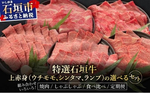 
            ＜選べる内容＞【2025年11月以降順次発送】希少な特選石垣牛をご家庭で！！上赤身（ウチモモ、シンタマ、ランプ）と上カルビ焼肉用食べ比べセット | 沖縄 石垣 特選 牛 上 赤身 ウチモモ シンタマ ランプ カルビ 肉 食べ比べ 真空 冷凍 タレ
          