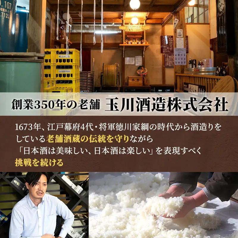 【最高金賞受賞・ふるさと納税限定版】日本酒 吟醸 玉風味 2本 セット |日本酒