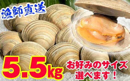 
            漁師直送！活ホンビノス貝5.5kg
          