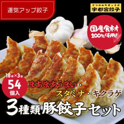 ふるさと納税 宇都宮市 宇都宮餃子 運気アップ餃子　豚餃子3種類食べ比べ(合計54個)　保存料不使用
