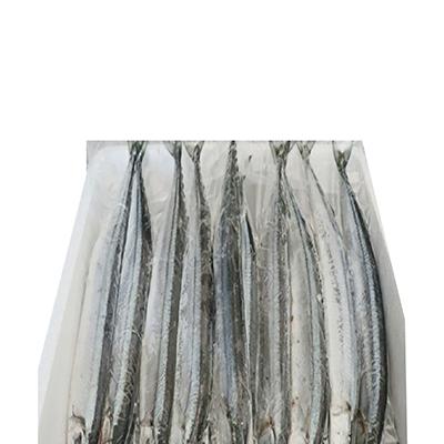 ふるさと納税 根室市 ＜12/21まで年内配送＞★冷凍さんま20尾 A-70003 |  | 03