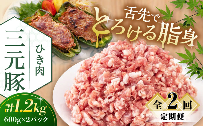 
            【全2回定期便】平田牧場 ひき肉 1.2kg (600g×2P) 《喜茂別町》【平田牧場】 肉 豚肉 ミンチ 豚ミンチ 餃子 つくね  冷凍配送 定期便 定期 北海道 平田牧場 三元豚 [AJAP122] 26000 26000円
          