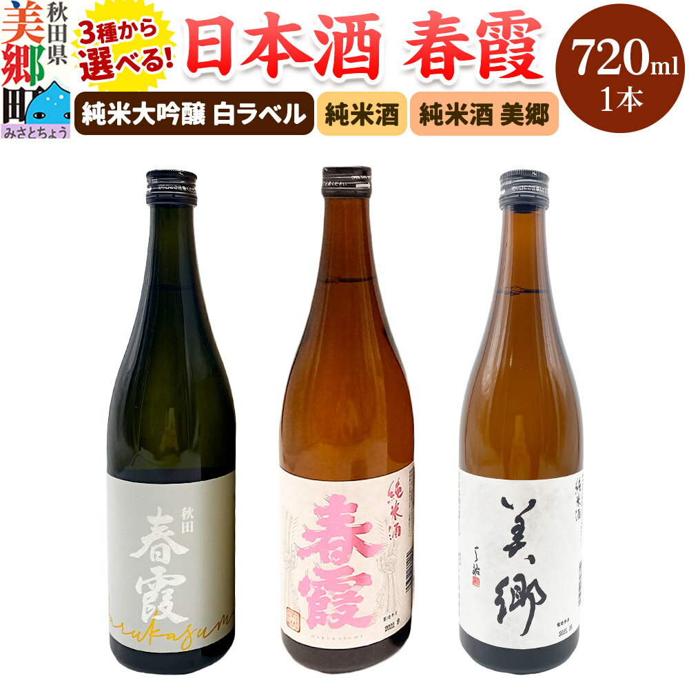 【ふるさと納税】日本酒 春霞 【選べる種類】