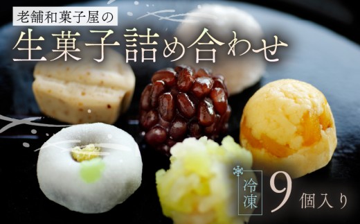 生菓子 9個 冷凍 詰め合わせ お菓子 おやつ スイーツ 銘菓 お茶菓子 ギフト 夏 お中元 贈り物 母の日 父の日 指定日 滋賀県 日野町 かぎや菓子舗
