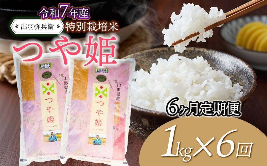 
                  【令和7年産】【定期便6ヶ月】特別栽培米 つや姫 【白米】 1kg×6回　山形県鶴岡市産　出羽弥兵衛　| お米 米 コメ こめ ライス つやひめ 1キロ ご飯 ブランド米 国産 主食 お取り寄せ 返礼品
                