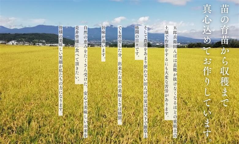 【令和8年産・白米5kg ギフト用】「五郎兵衛さんのお米」＜2026年10月初旬以降順次配送＞ 長野県 信州 新米 こしひかり【 五郎兵衛米 白米 精米 お米 おこめ コメ コシヒカリ こしひかり お土産 プレゼント ギフト  お中元にも 佐久市 】