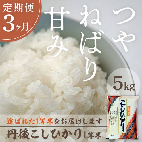 【定期便3回】令和8年産 丹後こしひかり 5kg×3ヵ月 1等米 お米 コメ こめ 丹後 コシヒカリ 精米 ふるさと 納税 コシヒカリ 精米 ふるさと 納税 こしひかり 精米 ふるさと 納税 米 送料無料
