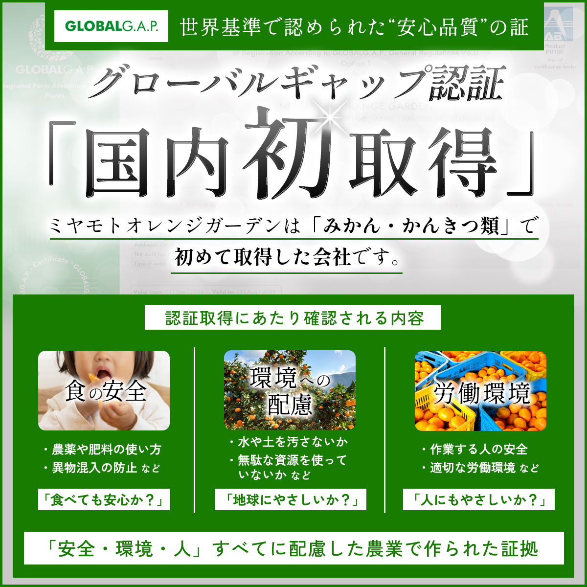 先行予約＜訳あり 愛媛県産 小玉みかん 合計約2kg＞ 『2026年11月以降順次出荷予定』ミヤモトオレンジガーデン 愛媛県 西予市