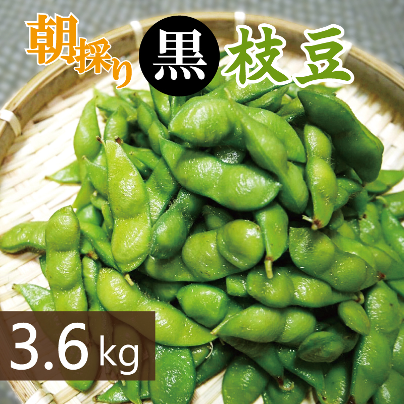 【畑から直送 朝採り】黒枝豆 3.6kg 【新鮮 野菜 泉佐野産 えだまめ やさい TONOファーム 高評価 数量限定 先行予約】