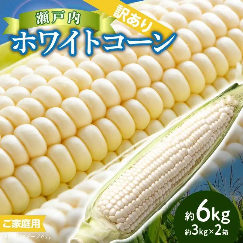 訳あり ご家庭用 瀬戸内ホワイトコーン 約6kg【2026-6月中旬～2026-7月中旬配送】| コーン