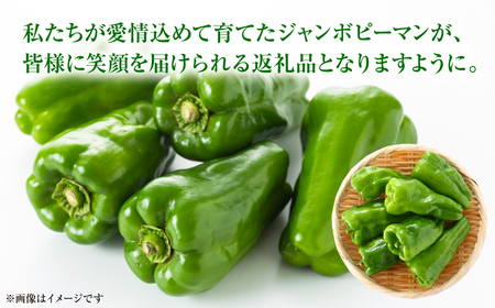 【先行予約】産地直送 とんがりジャンボピーマン 1.5kg 野菜 やさい 野菜炒め サラダ 夏野菜 新鮮 旬 無限ピーマン おつまみ BBQ バーベキュー 肉詰め 熊本県 八代市【2026年4月上旬よ