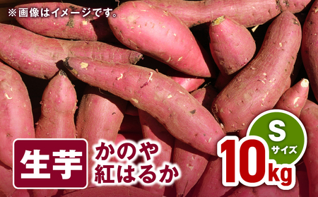 1672 かのや紅はるか 生芋Sサイズ 10kg KN011-001 南橋商事 ふるさと納税 鹿児島 鹿屋市 おすすめ ランキング プレゼント ギフト