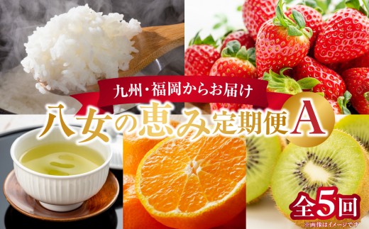 九州・福岡からお届け！八女の恵み定期便【全５回】 A