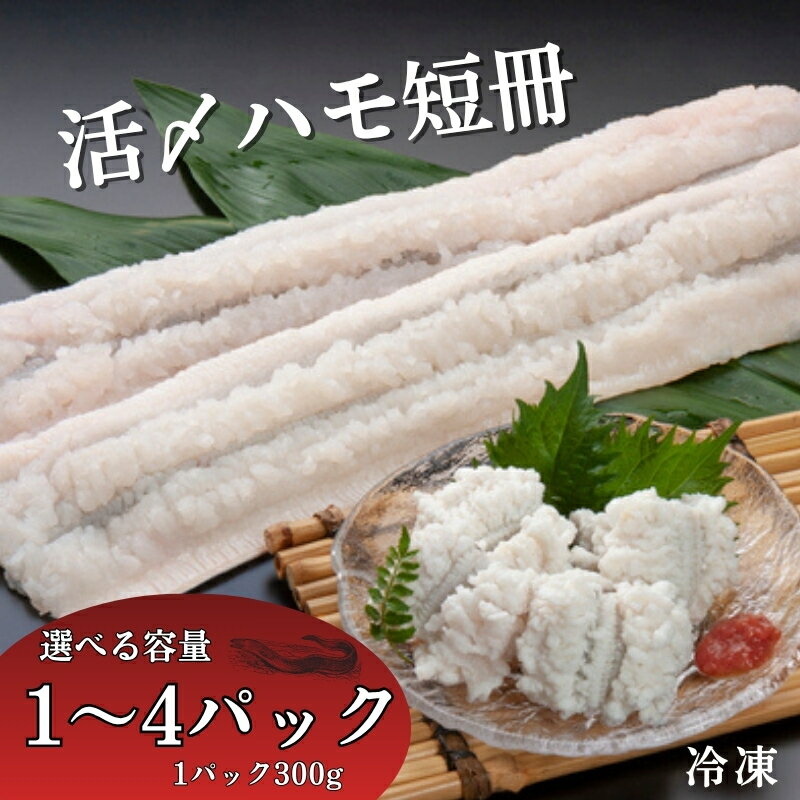 【ふるさと納税】活〆鱧短冊 300g 【選べる容量】 1～4パック 冷凍 鱧 ハモ 鱧短冊 海鮮 北風鮮魚 愛媛県 伊予市