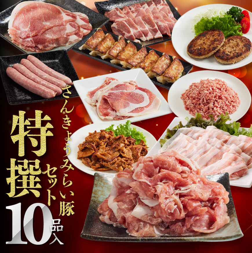【ふるさと納税】※レビューキャンペーン※ さんきょうみらい豚『特撰セット』10種 バラしゃぶ/切り落とし/味噌漬け/生ハム/焼餃子/ハンバーグ/生姜焼き用ロース/焼肉用カタロース/豚ミンチ 肉 豚肉 宮崎県産 九州産 おうち時間 おうちごはん 豚肉セット 詰め合わせ G0111