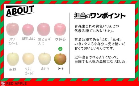 りんご 【 10月発送 】家庭用 トキ 約 10kg 【 弘前市産 青森りんご 】 果物 フルーツ 食後 デザート 黄色りんご 濃厚な甘み 爽やかな香り 果汁たっぷり