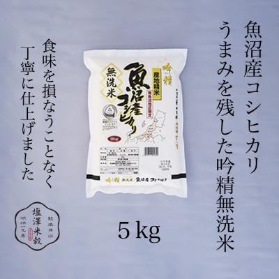 ふるさと納税 南魚沼市 【吟精無洗米】南魚沼産コシヒカリ 精米 5kg