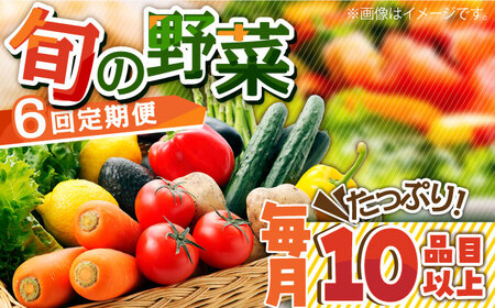 【6回定期便】野菜定期便 10品目以上 野菜定期便 / ミナサポ  [SCW046]