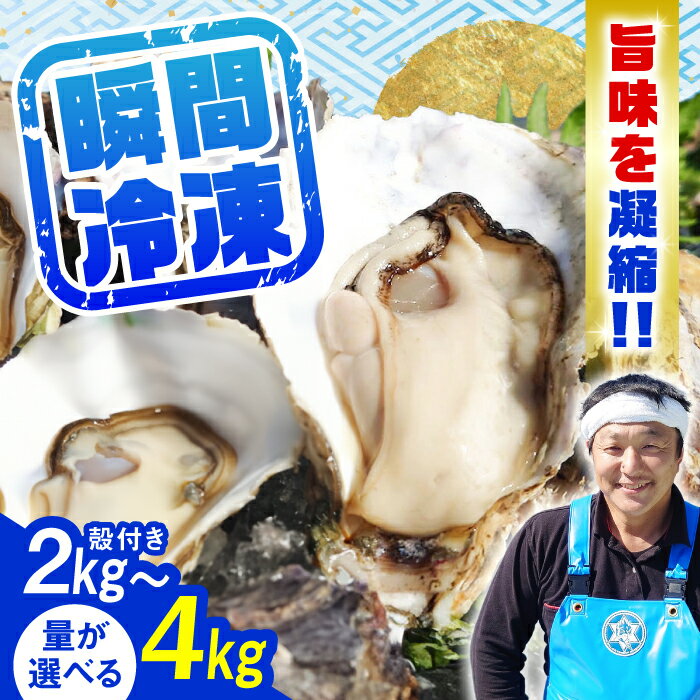 【ふるさと納税】特選 牡蠣三昧！【冷凍】【選べる内容量】牡蠣 殻付き カキ かき 広島 料理 簡単 魚介類 海鮮 ギフト 広島県産 江田島市/株式会社門林水産[XAO029] 牡蠣 冷凍 むき身 殻付き かき カキ 生牡蠣 カキフライ 広島牡蠣