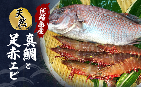 真鯛 淡路島産 えび アシアカエビ セット 真鯛