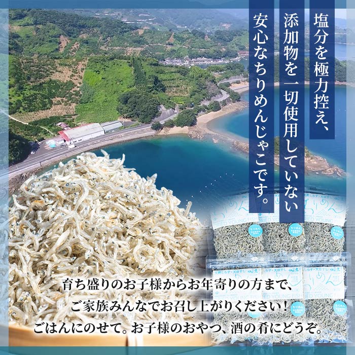 ＜【6回定期便】訳あり ちりめん 合計300g（300g入り×1袋）＞ 選べる 定期便 天日干し お徳用 しらす シラス じゃこ 小分け 魚 小魚 海産物 加工品 おにぎり おつまみ おやつ 家庭用 