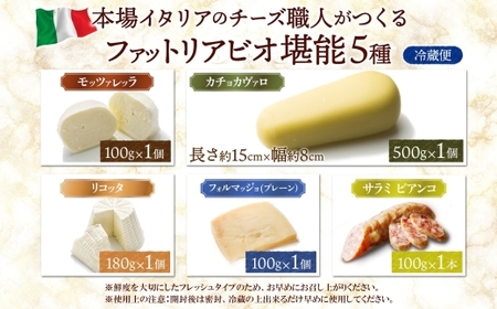 ファットリアビオ 堪能5種セット ｜ ファットリアビオ北海道 チーズ 食べ比べ 北海道 札幌市
