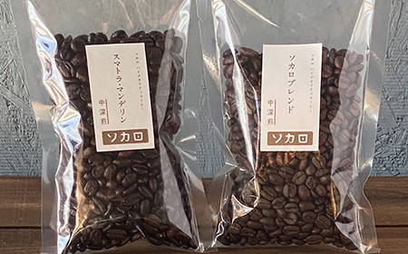 ソカロブレンド100g + スマトラマンデリン 100g ※豆 【お菓子と自家焙煎コーヒー ソカロ】 F21U-607