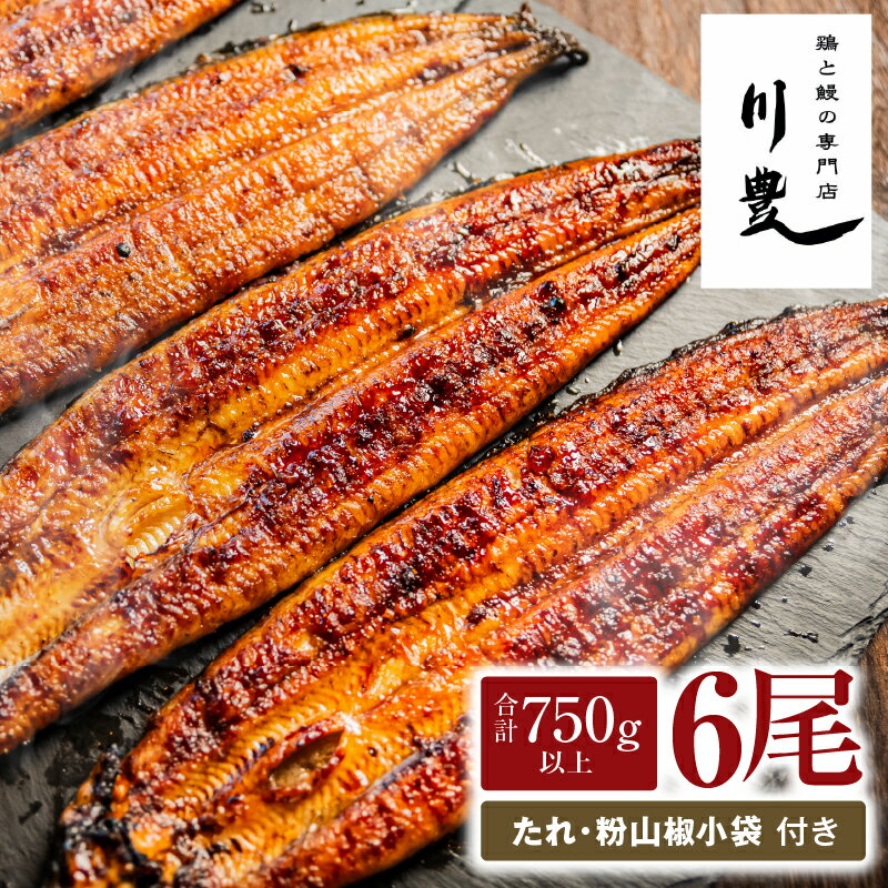 【ふるさと納税】【土用の丑の日特集】＜国産＞ 昭和56年創業 うなぎの川豊 有頭 蒲焼き 6尾 セット(約125g〜150g×6尾)たれ・山椒付き！鹿児島 鹿屋市 鰻 ウナギ 蒲焼 冷凍 急速冷凍 湯煎 簡単調理 鰻丼 ひつまぶし 土用の丑【有限会社 MNB】