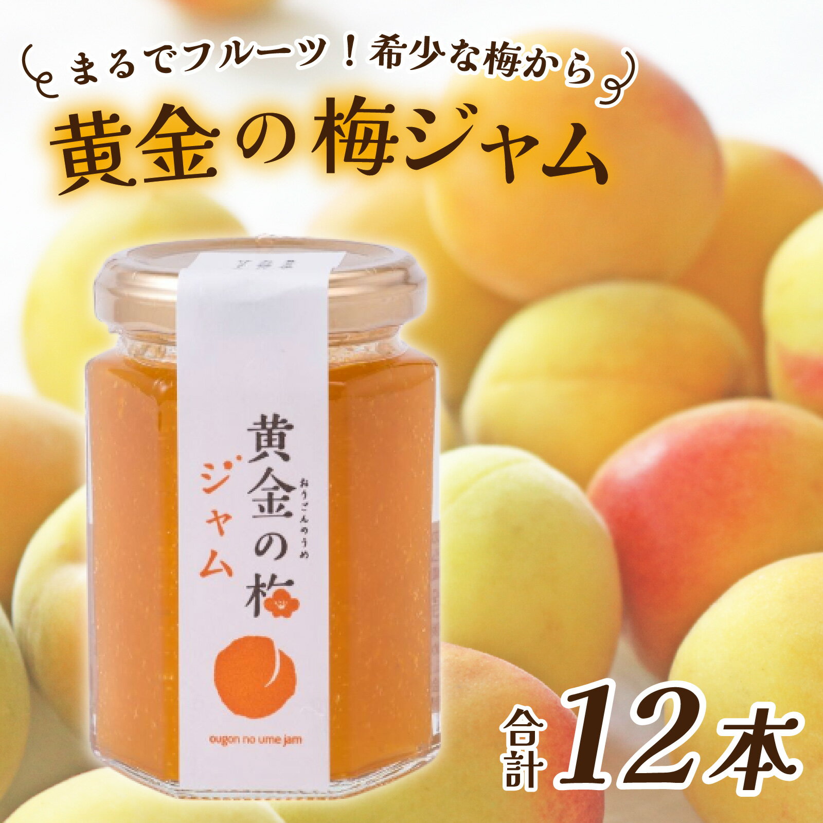 【ふるさと納税】まるでフルーツ！希少な梅から「黄金の梅ジャム」12本 [D-178001] / 加工品 調味料 ジャム 季節ジャム パン ジャムティー ヨーグルト 料理 手造り 詰合せ お取り寄せ 送料無料