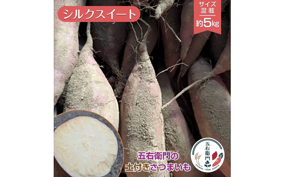 
            五右衛門の土付きサツマイモ［シルクスイート］約5kg
          