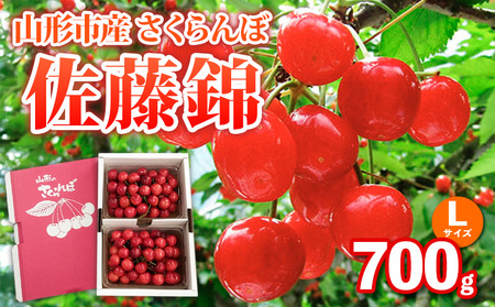 山形市産さくらんぼ【佐藤錦】Lサイズ 700g バラ詰め 【令和8年産先行予約】FS25-036