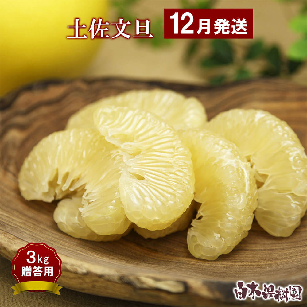 【ふるさと納税】【12月発送土佐文旦】文旦 贈答用 約3kg 中玉6個もしくは大玉5個入り ハウス文旦 温室土佐文旦 柑橘 みかん フルーツ ぶんたん ブンタン 果物 お取り寄せ おいしい 美味しい 高知県土佐市産 故郷納税 ふるさとのうぜい 返礼品 高知県 高知 22000円