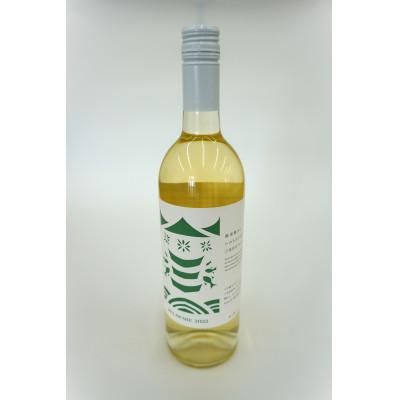 ふるさと納税 宮城県 【南三陸ワイナリー】デラウェア　白(辛口)　750ml×1本