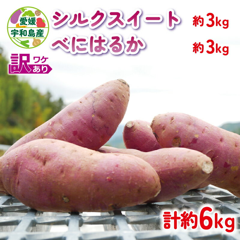 【ふるさと納税】 訳あり さつまいも シルクスイート べにはるか 計 6kg 食べ比べ あかだ農園 先行予約 訳アリ 訳あり品 訳有り わけあり さつま芋 サツマイモ 紅はるか 野菜 やさい 産地直送 栽培期間中 農薬 不使用 根菜 イモ 芋 国産 愛媛 宇和島 F010-137001