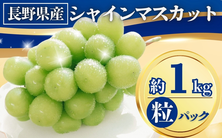 【2026年先行予約】シャインマスカット粒パック 約1kg｜ シャインマスカット
