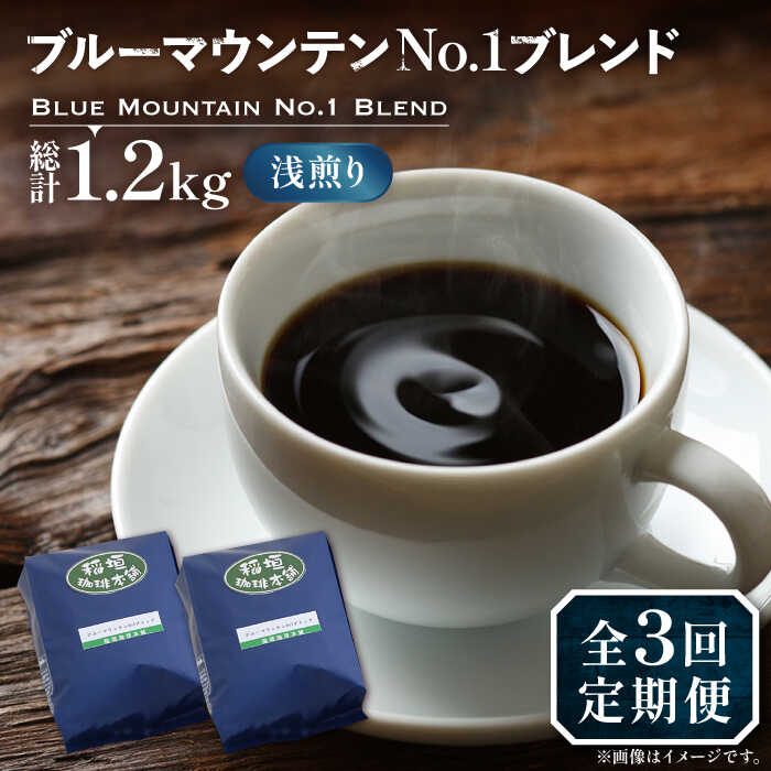 【ふるさと納税】【全3回定期便】ブルーマウンテン NO.1 ブレンド コーヒー ( 浅煎り )《豊前市》【稲垣珈琲】 珈琲 コーヒー 豆 粉[VAS167] 58000 58000円
