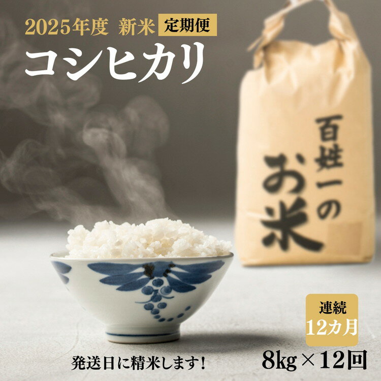 【ふるさと納税】256-1001　【12回定期便】石井町産コシヒカリ8kg×連続12カ月 ※離島への配送不可