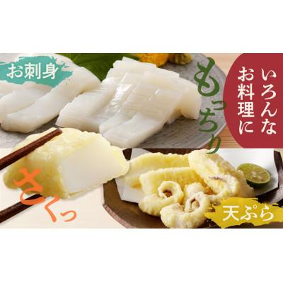 ふるさと納税 備前市 丸ごとモンゴウイカ |  | 03