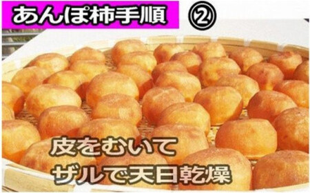 【県認定エコファーマー】あんぽ柿用生渋柿（平たねなし柿） 約15kg 54～72個【art002】