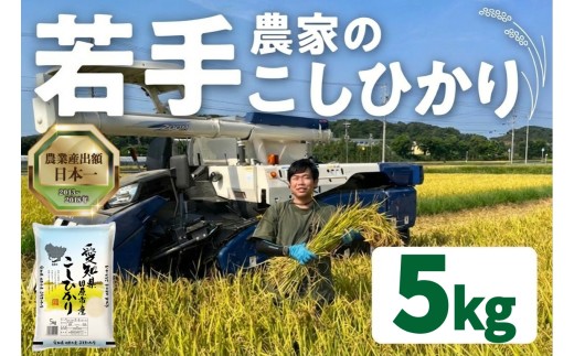 【5kg：10月発送】《令和8年産 新米予約》若手農家のこしひかり 5kg 10kg 選べる お米 おこめ 米 コメ ごはん コシヒカリ ご飯 ブランド米 精米  米 備蓄米 よりおいしい 愛知県 田原市 渥美半島 人気 先行予約 KASUKEN