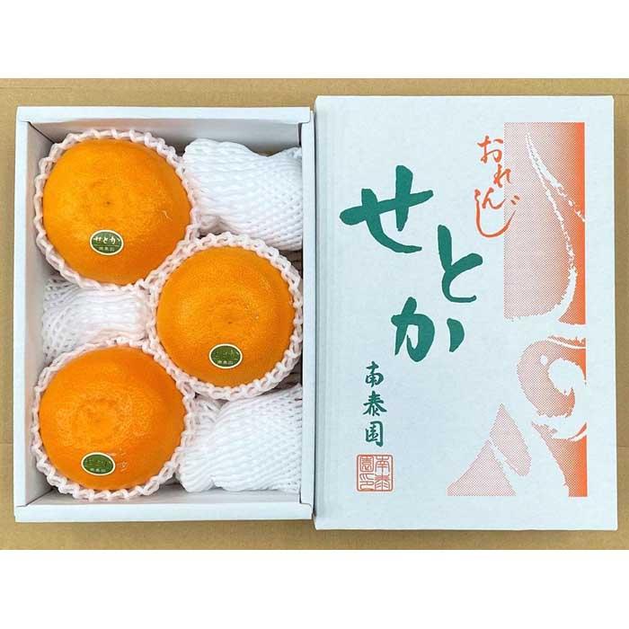 【ふるさと納税】ハーフ 化粧箱 柑橘の大トロ ハウス せとか 厳選 大玉 3玉入 南泰園