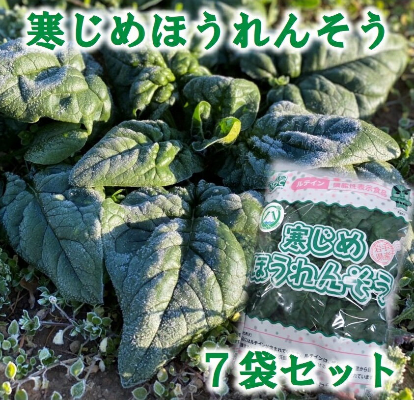 【ふるさと納税】 野菜 ほうれん草 【先行予約】 寒じめほうれんそう 約210g×7袋 旬 ほうれん草 ホウレンソウ サラダ おひたし お味噌汁 産地直送 野菜 葉物 個包装 小分け 冷蔵 【11月下旬頃〜2月下旬発送予定】