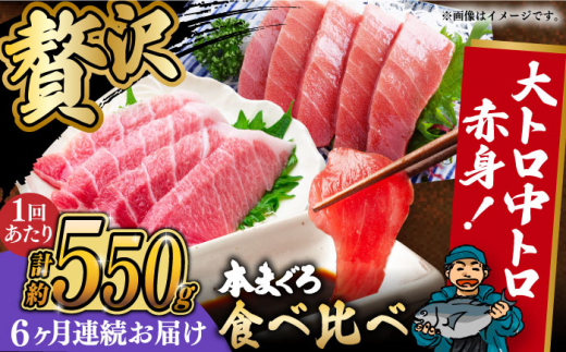 【全6回定期便】本マグロセット 計約550g(大トロ・中トロ・赤身セット) 長崎県/長崎県漁業協同組合連合会 [42ZZAC012] マグロ 中トロ 赤身 刺身 長崎 養殖